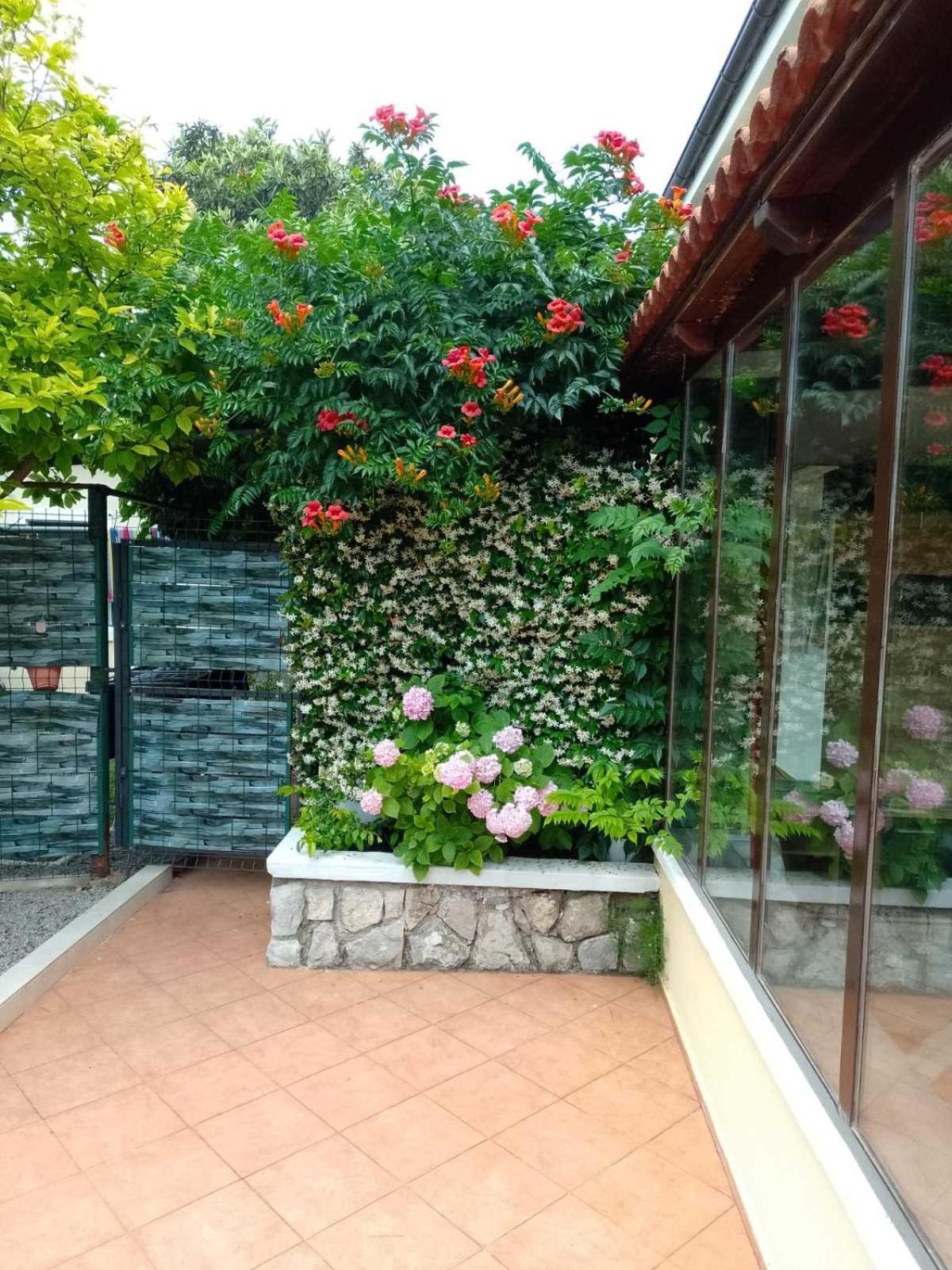 Apartment Ela, Kostrena Rijeka Bagian luar foto
